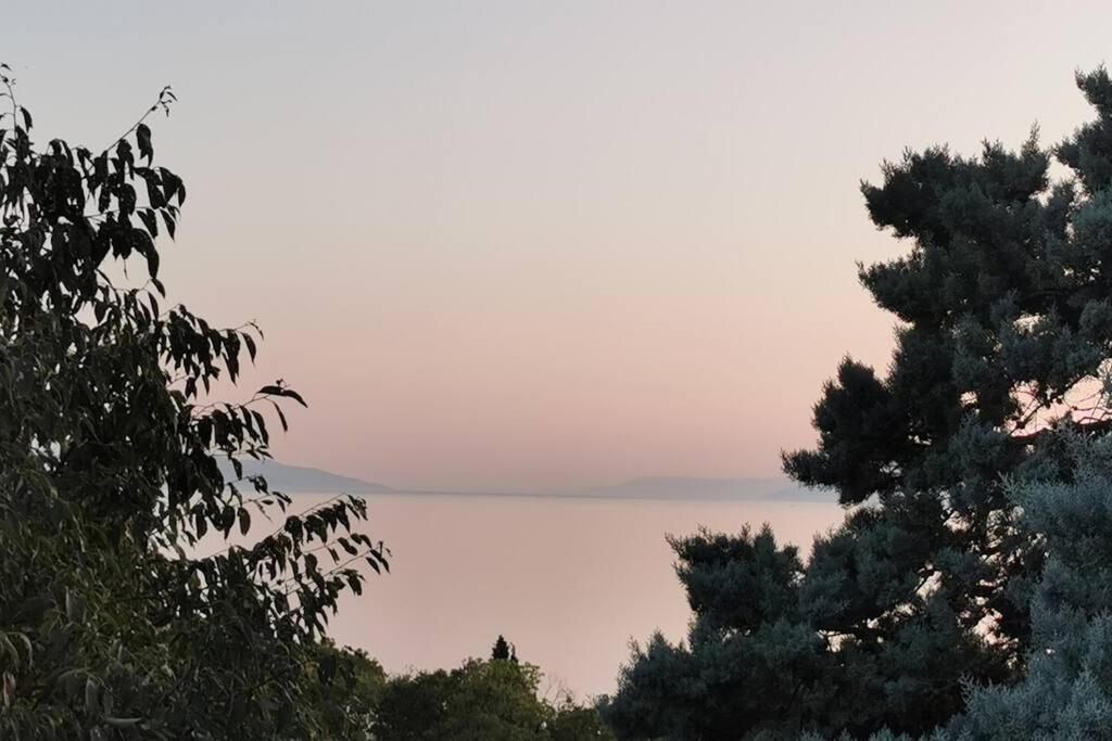 Liburna * Rijeka